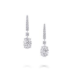 Graff Earrings, Expensive Diamond, Fine Diamond Jewelry, Search Bar, Diamond Stud, Diamond Jewellery, Earrings Collection, Fine Jewellery, Jewellery Collection