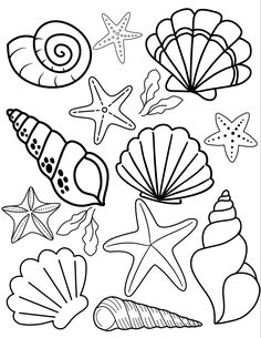 coloring pages with sea animals and seashells for kids to color on the beach