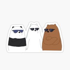 three polar bears wearing sunglasses sticker