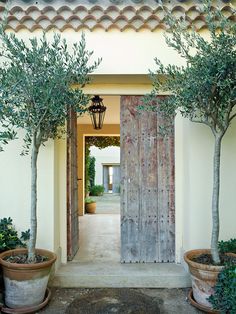 an open door to a house with potted trees