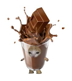 an animal in a glass with chocolate splashing on it