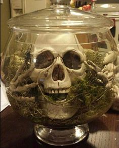 a glass bowl filled with plants and a skull in the center, sitting on top of a wooden table