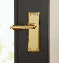 a close up of a door handle on a black door