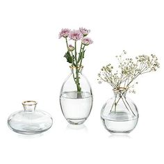 three glass vases with flowers in them on a white surface, one is filled with water