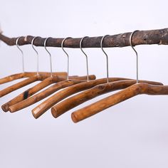 several wooden clothes hangers are hanging from a tree branch with metal clips attached to them