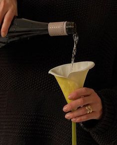 a person pouring something into a vase with a green sprig on it and a bottle in the background