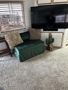 a living room with a couch, television and cacti on the carpeted floor