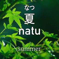 the words natu written in japanese are surrounded by green leaves