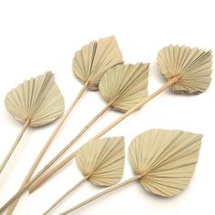 PRICES MAY VARY. PACKAGE: Each bouquet comes with 6 Pcs dried natural palm tree leaves and the size of palm leaf is about 4.8"W x 15.3"L. Each dried palm is packaged very well. No need to worry about bent or broken flower bouquet DIY BOHO DECOR: As the ideal gift for the bohemian lover, dried fan palms are perfect decoration for boho living room, house, tropical party, hotel, cafes, shop, wedding, new year, Christmas, bar, festival, evening. You can use them to decorate vases, floral decor, trop Palm Leaf Decor, Artificial Palm Leaves, Tropical Wedding Decor, Home Office Wall Decor, Hawaiian Party Decorations, Boho Decoration, Tropical Wedding Flowers, Diy Boho Decor, Home Office Wall