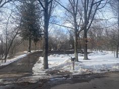 a road with snow on the ground and trees