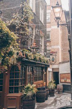 an alleyway with potted plants on the side and old buildings in the background