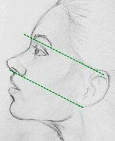 a drawing of a woman's face with lines drawn across the upper half of her face