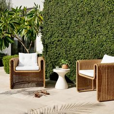 two wicker chairs sitting next to each other in front of a tall green hedge