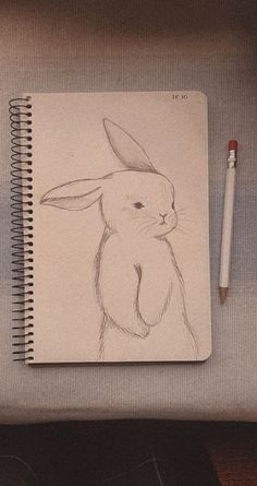 a pencil drawing of a rabbit on top of a notebook next to a white pen