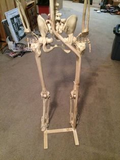 the skeleton is standing upright in the living room, looking like it's about to fall off