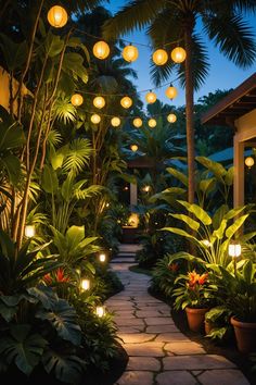 an outdoor walkway lit up with lanterns and lights in the middle of some tropical plants