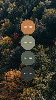 Green Orange Color Palette Bedrooms, Forest Colour Pallet, Camping Colour Palette, Forest Color Pallette, Black Green Orange Color Palette, Forest Colour Scheme, Forest Tones Colour Palettes, Walnut And Green Color Palette, Forest Green Color Palette Bedroom