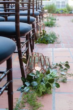 a row of chairs with plants and candles on the ground in front of each chair