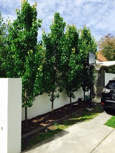 a black car parked in front of a white fence with trees on the other side