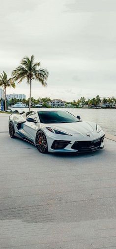 a white sports car parked in front of a body of water with palm trees behind it