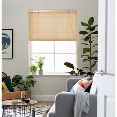 a living room filled with furniture and a window covered in bamboo blind shades on the windowsill