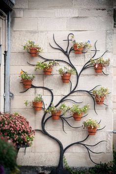 a tree that has many potted plants on it