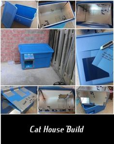 the cat house build is made out of blue boxes