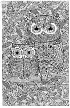 two owls sitting on top of a tree branch in the forest coloring book page with leaves