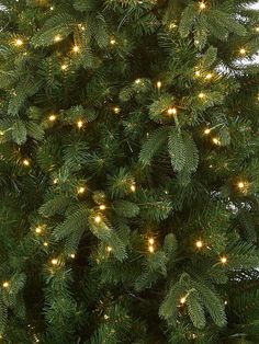 a large christmas tree with lights on it