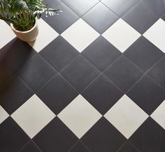 a potted plant sitting on top of a black and white checkered tile floor