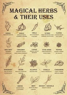 Herbs And Their Uses, Witchy Kitchen, Materi Bahasa Jepang, Magickal Herbs, Witch Herbs, Magia Das Ervas, Wiccan Magic, Witch Spirituality