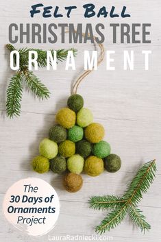 the felt ball christmas tree ornament is hanging from a branch