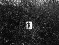 black and white photograph of man standing in window surrounded by branches with arms spread out