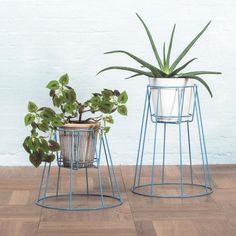 two metal plant stands with plants in them on the wooden floor next to a white wall