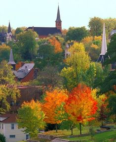 trees with orange and yellow leaves are in the foreground as houses sit on top of a hill