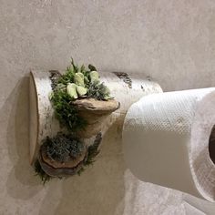 two rolls of toilet paper sitting next to each other on top of a wooden shelf