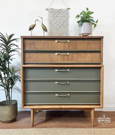 a green dresser with brass handles and two potted plants next to it on a wooden floor