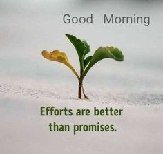 a small plant sprouts from the ground with words on it saying, good morning efforts are better than promses