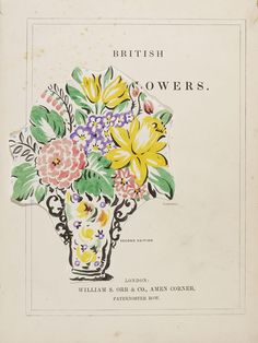 an old book with flowers in it and the title british flowers written on it's cover