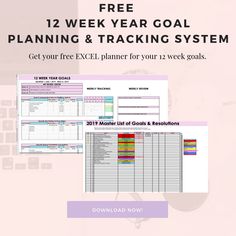 the free 12 week goal planner and tracking system