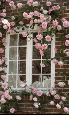 pink roses are growing on the side of a brick building with an open window and white frame