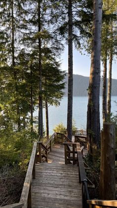 a wooden walkway leading to the water through some trees