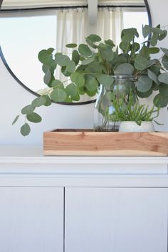 a plant in a vase sitting on top of a dresser next to a round mirror