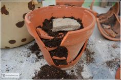 there are many potted plants with dirt on the ground next to each other and one has a rock in it