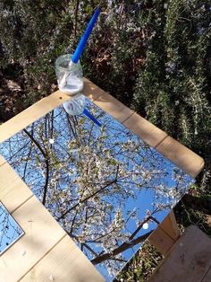 a glass table that has some water on it and trees in the background with no leaves