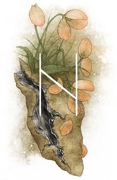 an illustration of flowers growing out of a rock with the letter h on it's side