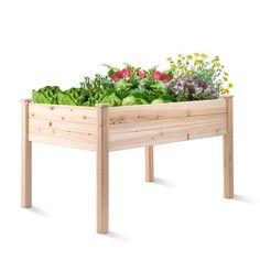 a wooden planter filled with lots of green plants on top of a white background