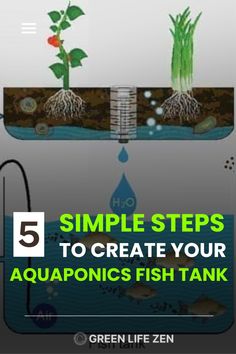 an aquarium with the words 5 simple steps to create your aquaponics fish tank