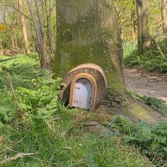 a small door in the side of a tree