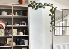 a living room with bookshelves, mirror and plants on the shelves in front of it